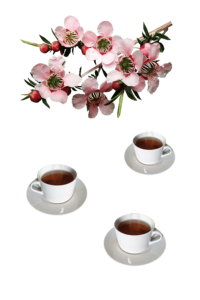Séance Reiki autour d'un thé 1
