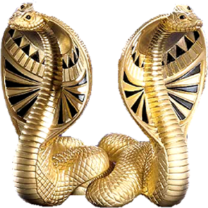 Cobras-1 3
