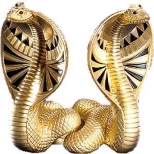 Cobras-2 3